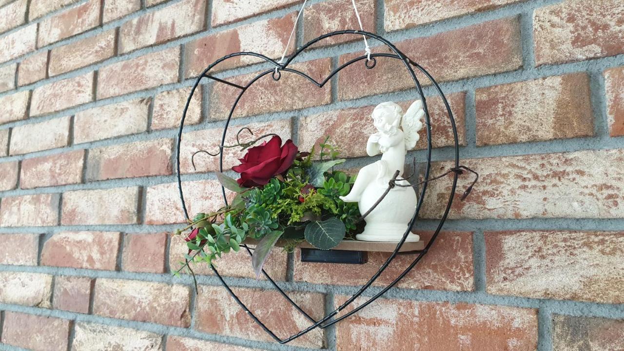 Seensucht & Urlaubstraeume, Ferienwohnung "Seerose" Grossraeschen Ngoại thất bức ảnh